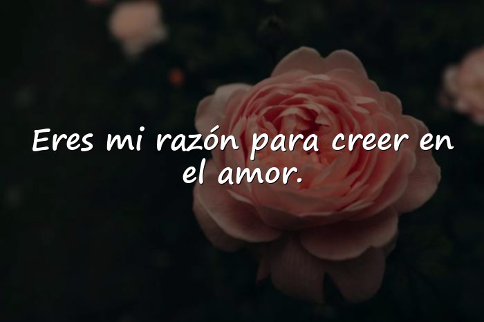 Imágenes palabras de amor - 13