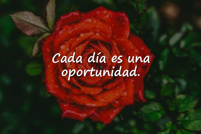 Imágenes palabras de motivacion - 3