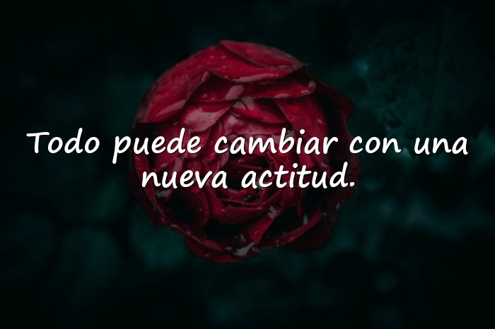 Imágenes palabras positivas - 10