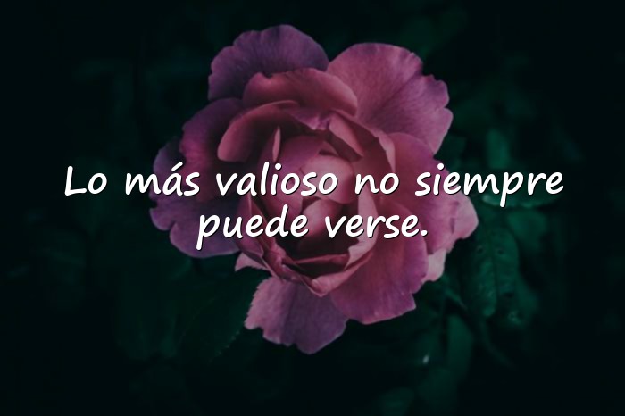 Imágenes pensamientos de la vida - 10