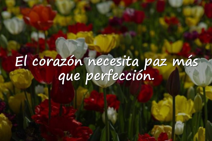 Imágenes pensamientos de la vida - 22
