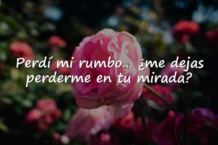 Imágenes piropos para enamorar - 16