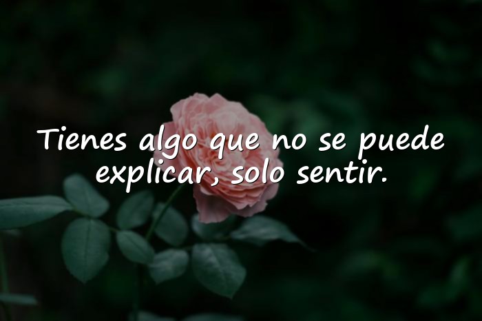 Imágenes piropos para enamorar - 11