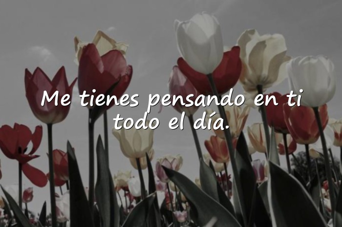 Imágenes piropos para enamorar - 5