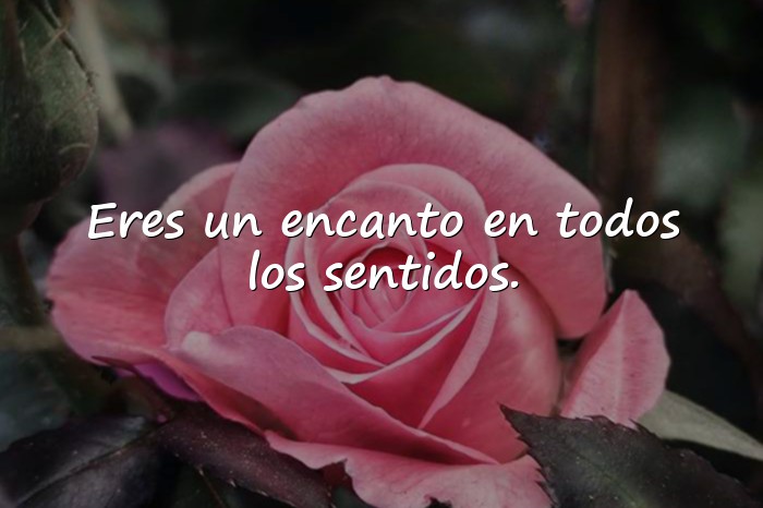 Imágenes piropos para mujeres - 24