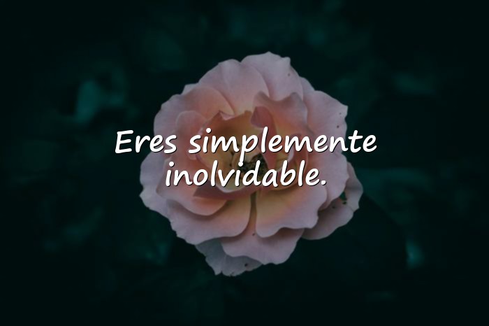 Imágenes piropos para mujeres - 1