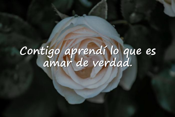 Imágenes postales de amor - 25