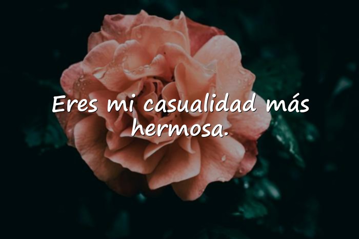 Imágenes postales de amor - 24