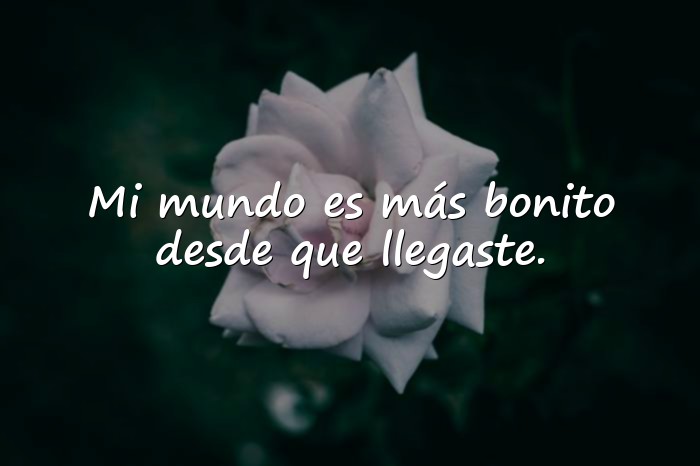 Imágenes postales de amor - 17