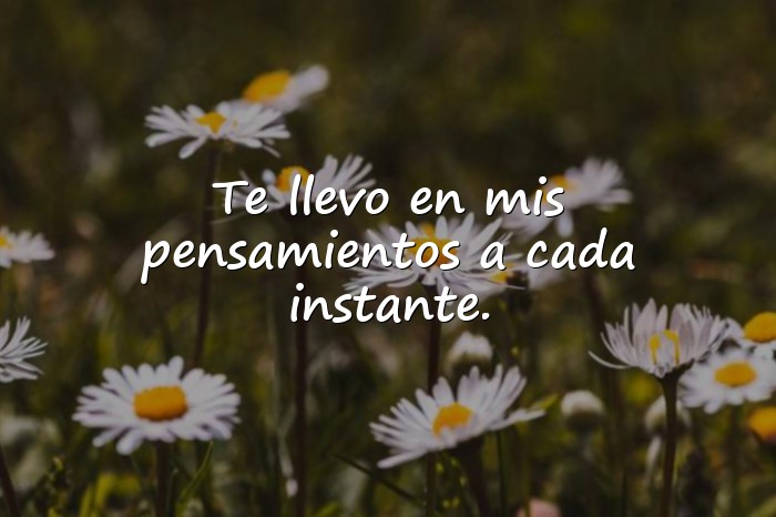 Imágenes postales de amor - 14