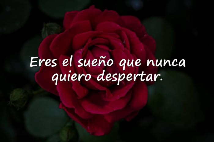 Imágenes postales de amor - 12