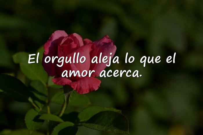 Imágenes Proverbios Sabios para Reflexionar sobre la Vida - 15