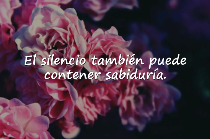Imágenes Proverbios Sabios para Reflexionar sobre la Vida - 10