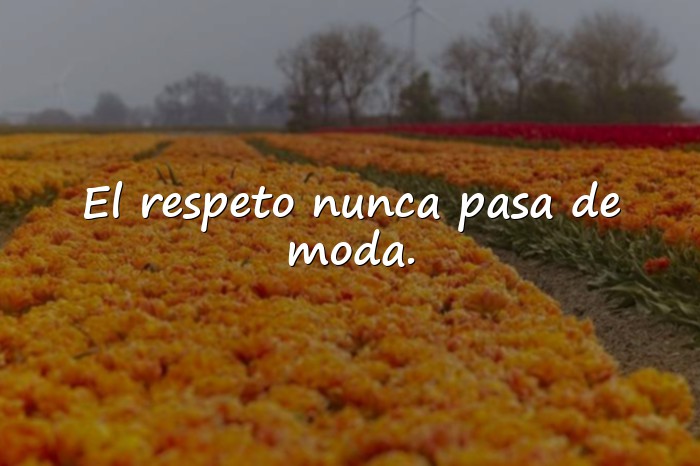 Imágenes Proverbios Sabios para Reflexionar sobre la Vida - 25