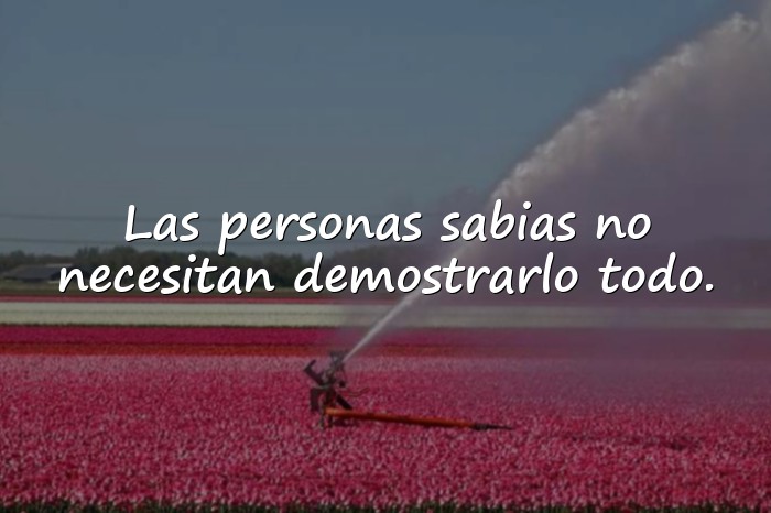 Imágenes Proverbios Sabios para Reflexionar sobre la Vida - 20