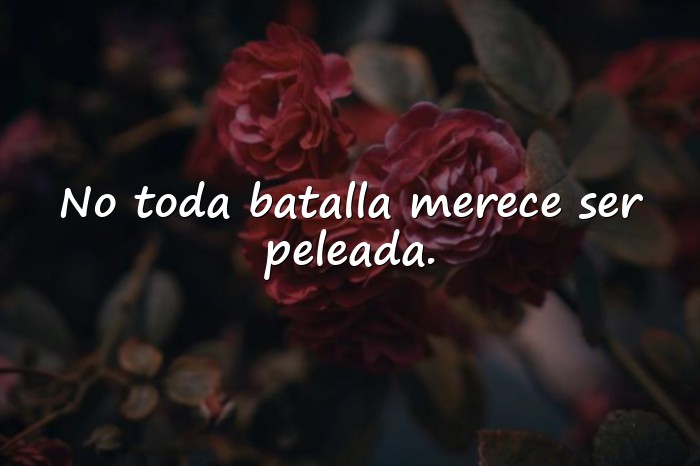 Imágenes Proverbios Sabios para Reflexionar sobre la Vida - 15