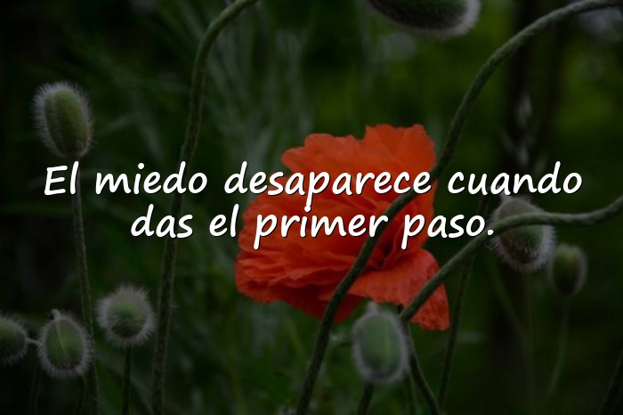 Imágenes Proverbios Sabios para Reflexionar sobre la Vida - 10