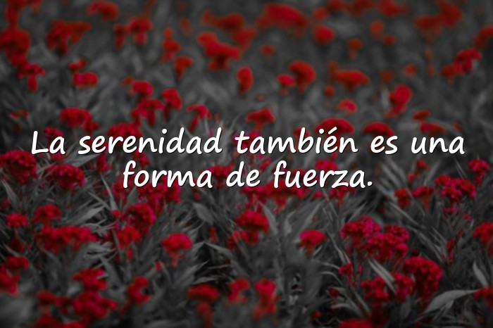 Imágenes Proverbios Sabios para Reflexionar sobre la Vida - 6