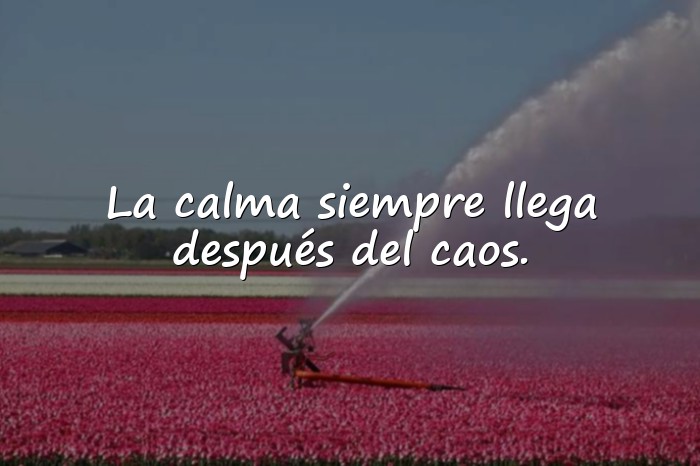 Imágenes reflexiones cortas - 5