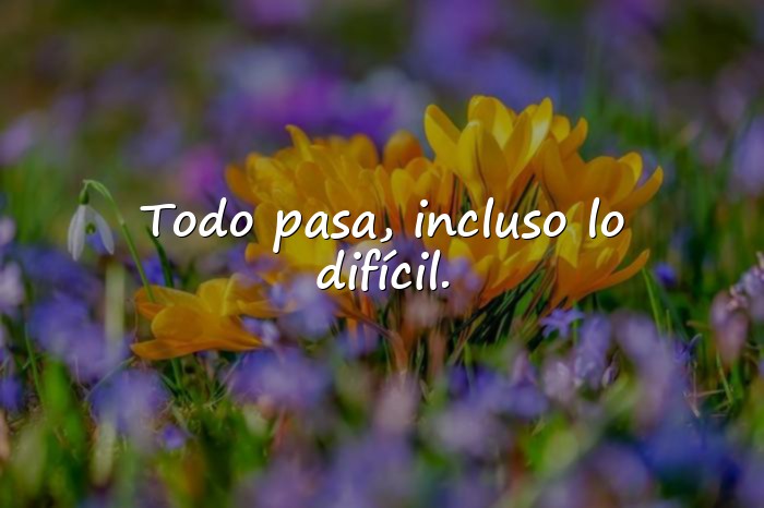 Imágenes reflexiones cortas - 23
