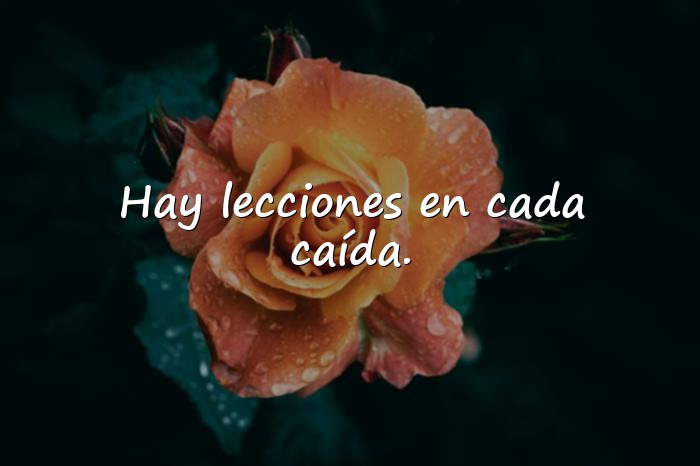 Imágenes reflexiones cortas - 14