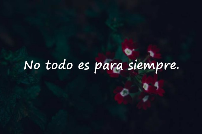 Imágenes reflexiones cortas - 11
