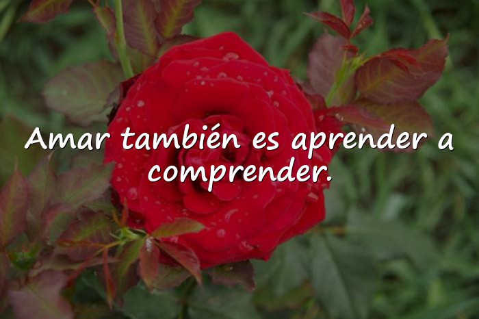Imágenes reflexiones de amor - 14