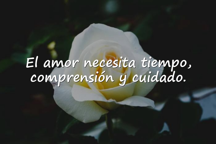 Imágenes reflexiones de amor - 14