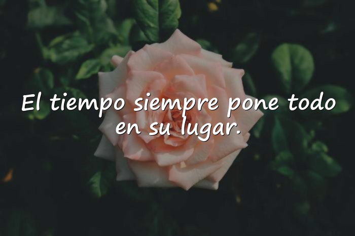 Imágenes reflexiones de la vida - 13