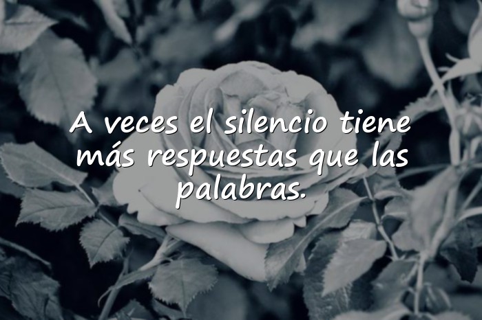 Imágenes reflexiones de la vida - 5