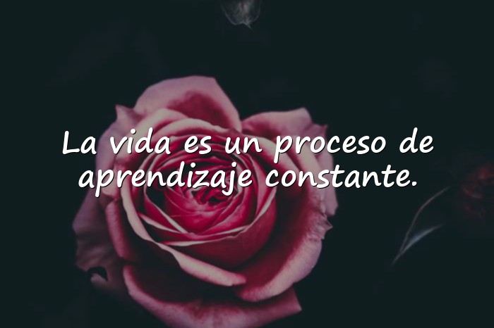 Imágenes reflexiones de la vida - 1
