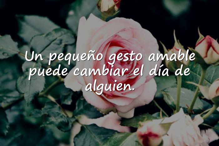 Imágenes reflexiones de la vida diaria con moraleja - 21