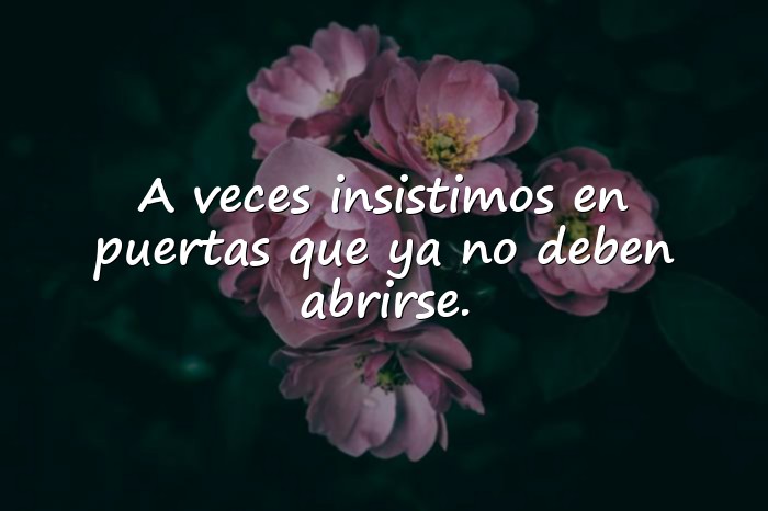 Imágenes reflexiones de la vida diaria con moraleja - 11