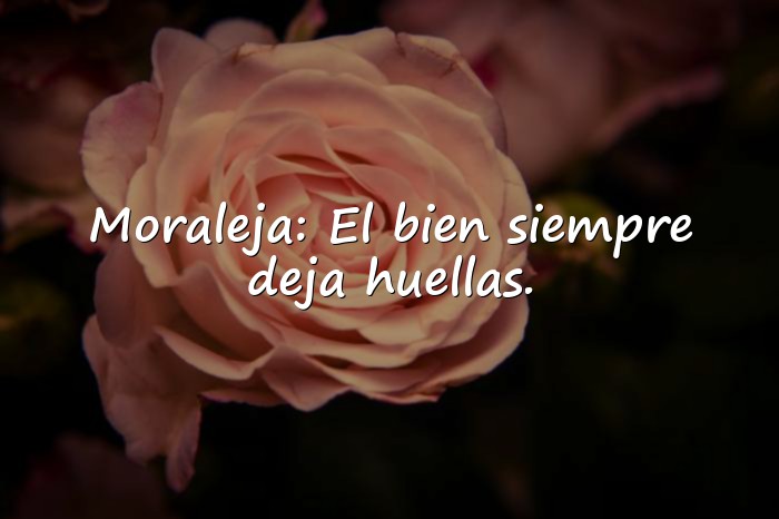 Imágenes reflexiones de la vida diaria con moraleja - 11