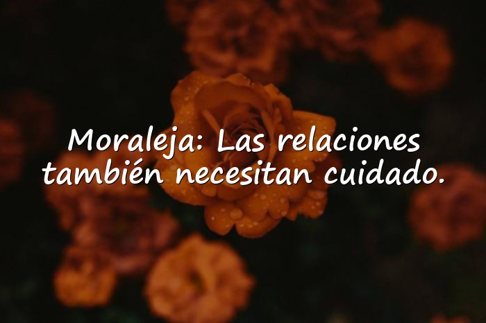 Imágenes reflexiones de la vida diaria con moraleja - 1