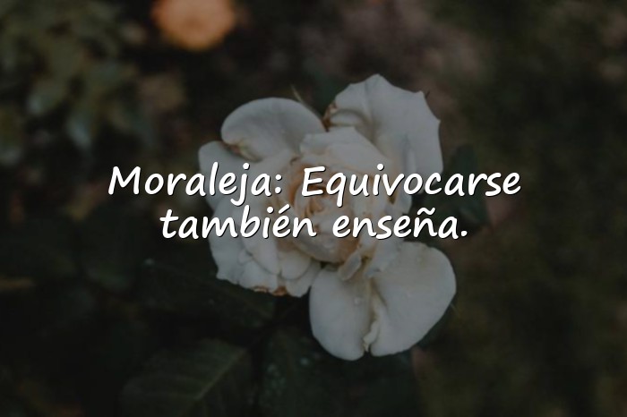 Imágenes reflexiones de la vida diaria con moraleja - 16