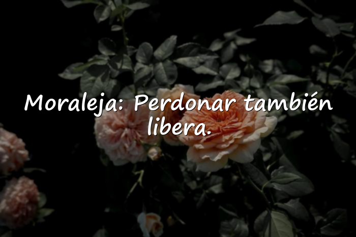 Imágenes reflexiones de la vida diaria con moraleja - 6