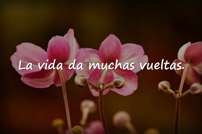 Imágenes refranes de la vida - 8