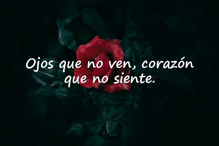 Imágenes refranes de la vida - 7