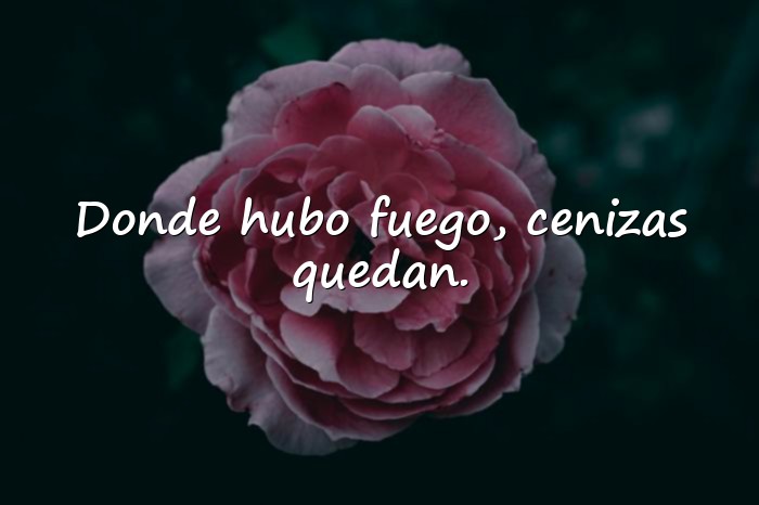 Imágenes refranes de la vida - 4