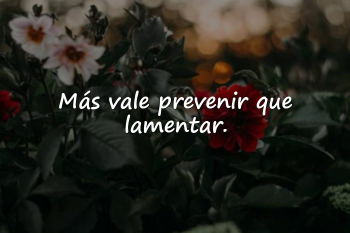 Imágenes refranes de la vida - 2
