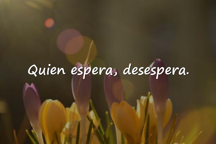 Imágenes Refranes Españoles Populares con Sabiduría de la Vida - 14