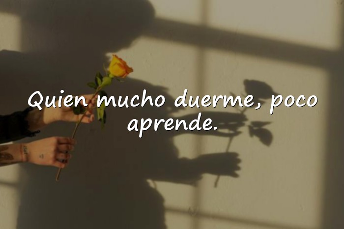 Imágenes Refranes Españoles Populares con Sabiduría de la Vida - 6